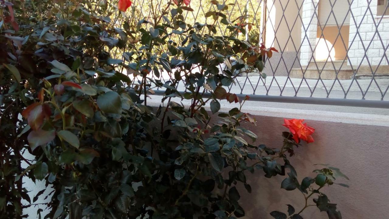 Apartment Sunce Podstrana Exterior foto